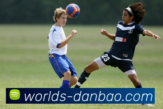 包大人担保官网服务体系